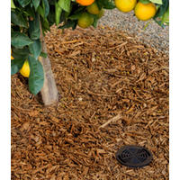 Root Zone Watering System