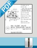 IBV Installation Detail - PDF